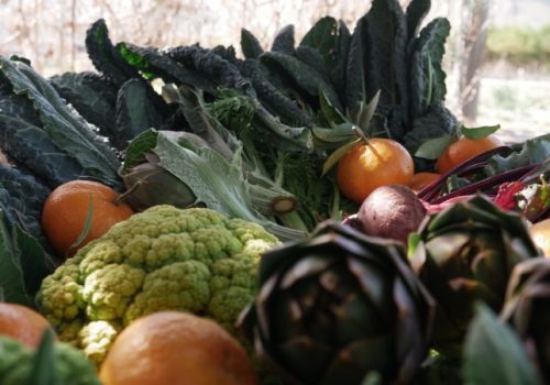 villa-costanza-vegetariana villa-costanza-alternativa